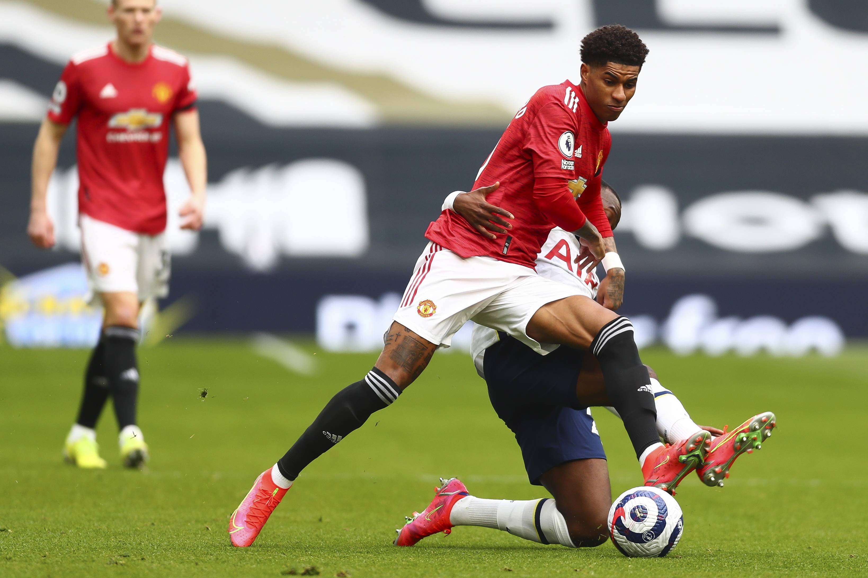 提到布鲁诺 提到布鲁诺