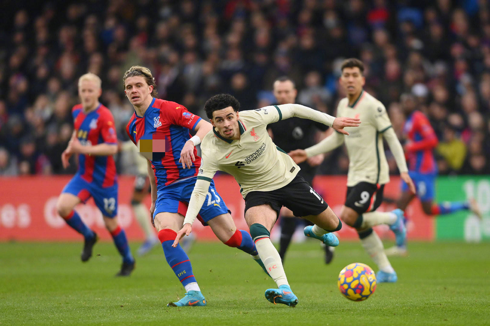 他們所帶領 他們所帶領